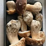 Chalé Au De La Raviege La Salvetat-sur-Agout