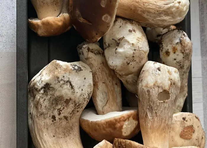 Alpesi faház Au De La Raviege La Salvetat-sur-Agout